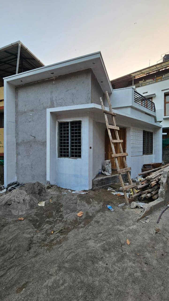 Plastering and exterior finishing
