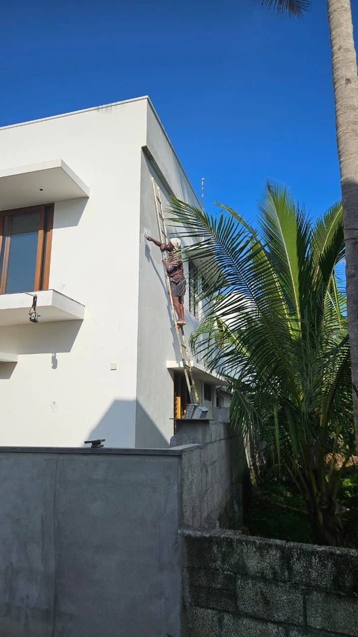 Exterior painting and finishing