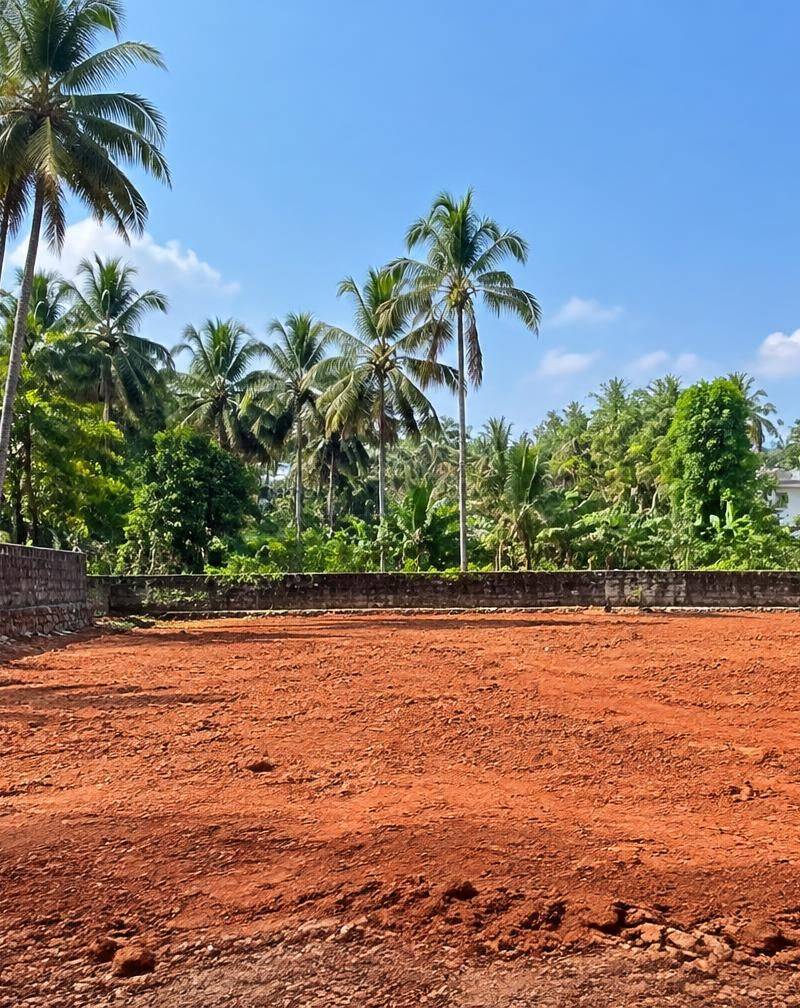 Residential land plot with coconut palms